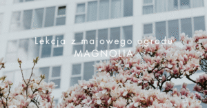 Read more about the article Czego uczy nas magnolia? Lekcja o królewskiej godności