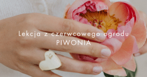 Read more about the article Czego uczą nas piwonie? Lekcja o trwaniu w Miłości